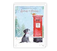 Tracks Publishing Across the Miles Christmas Card - Dog and Robin by Snowy Postbox - Eco-Friendly