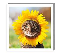 Tracks Publishing Birthday/Blank Card for Men/Women - General Male/Female Card - Tabby Cat Sunflower - Eco-Friendly and Recyclable