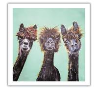 Tracks Publishing Birthday Card for Men or Women - Julia Pankhurst Llama Artistic Design - Blank Inside - Animal Greeting Card for Him or Her