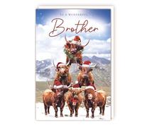 Tracks Publishing Brother Funny Christmas Card - Wonderful Brother - Highland Cows in Santa Hats - Festive Design - Made in the UK - Eco-Friendly