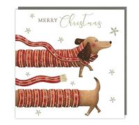 Tracks Publishing Charity Christmas Cards - Dachshund in Scarf with Foil Details - Eco-Friendly - Pack of 5 Cards