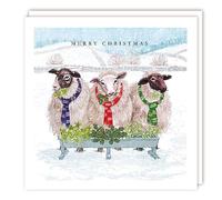 Tracks Publishing Charity Christmas Cards - Festive Sheep with Woolly Scarves - Eco-Friendly - Pack of 5 Cards