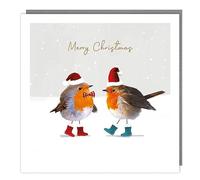 Tracks Publishing Charity Christmas Cards - Fluffy Robins in Santa Hats and Boots, with Flittered Snow - Eco-Friendly - Pack of 5 Cards