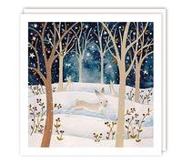 Tracks Publishing Charity Christmas Cards - Hares in Snowy Woodland - Eco-Friendly - Pack of 5 Cards