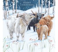Tracks Publishing Charity Christmas Cards Pack of 5 - Artistic Highland Cows Design - Festive Christmas Cards Multipack - In Aid of British Heart Foundation