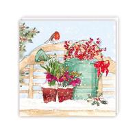 Tracks Publishing Charity Christmas Cards Pack of 5 - Charity Christmas Cards with a Festive Robin and Winter Flowers Design - Eco-Friendly Xmas Cards Multipack with Envelopes