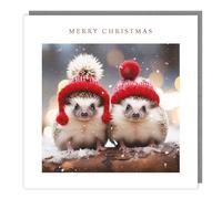 Tracks Publishing Charity Christmas Cards Pack of 5 - Charity Christmas Cards with a Snowy Hedgehogs in Hats Design - Eco-Friendly Xmas Cards Multipack with Envelopes
