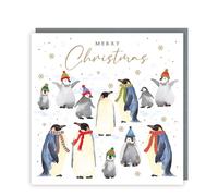 Tracks Publishing Charity Christmas Cards Pack of 5 - Charity Christmas Cards with Festive Penguins and Snowflakes Design - Eco-Friendly Xmas Cards Multipack with Envelopes
