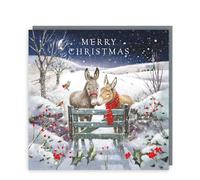 Tracks Publishing Charity Christmas Cards Pack of 5 - Charity Christmas Cards with Robins and Donkeys at Night Festive Design - Eco-Friendly Xmas Cards Multipack with Envelopes