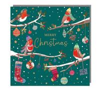 Tracks Publishing Charity Christmas Cards Pack of 5 - Charity Christmas Cards with Robins on Decorated Branches Design - Eco-Friendly Xmas Cards Multipack with Envelopes
