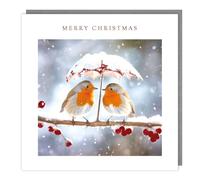 Tracks Publishing Charity Christmas Cards Pack of 5 - Charity Christmas Cards with Robins Under A Snowy Umbrella Design - Eco-Friendly Xmas Cards Multipack with Envelopes