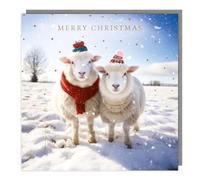 Tracks Publishing Charity Christmas Cards Pack of 5 - Charity Christmas Cards with Snowy Sheep in Festive Hats Design - Eco-Friendly Xmas Cards Multipack with Envelopes