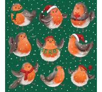 Tracks Publishing Charity Christmas Cards Pack of 5 - Jolly Robins Design - Festive Christmas Cards Multipack - In Aid of British Heart Foundation