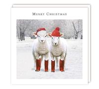 Tracks Publishing Charity Christmas Cards - Sheep with Wellies and Woolly Hats - Eco-Friendly - Pack of 5 Cards