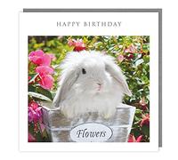Tracks Publishing Female Birthday Card - Bunny Rabbit in Flower Pot - Eco-Friendly & Recyclable - Made in the UK