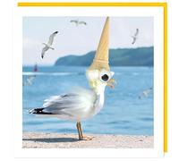 Tracks Publishing Funny Birthday/Blank Card for Men/Women - Blank Inside - Humorous Seagull and Ice Cream Design with Fluff and Googly Eye Embellishments - General Card Suitable for Any Occasion