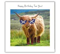 Tracks Publishing Funny Birthday Card for Men - Humorous Scottish Highland Cow Design - Happy Birthday Card for Him