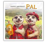 Tracks Publishing Funny Birthday Card for Men - Humorous Scottish Meerkat Design - Happy Birthday Card for Dad, Brother, Friend, Son, or Male Family Member