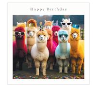 Tracks Publishing Funny Birthday Card for Men or Women - Amusing Llama Party Design - Premium Greeting Card with Envelope