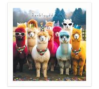 Tracks Publishing Funny Birthday Card for Men or Women - Colourful Llama Design - Welsh Premium Greeting Card with Envelope - Penblwydd Hapus