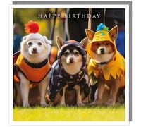 Tracks Publishing Funny Birthday Card - Happy Birthday Card with Humorous Dogs in Costumes Design - for Men/Women