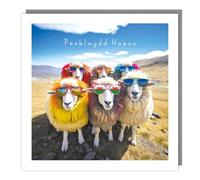 Tracks Publishing Funny Birthday or All-Occasion Card - Humorous Colourful Welsh Sheep Design - For Him - Fun Greeting Card