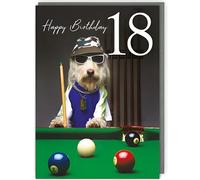 Tracks Publishing Funny Male 18th Birthday Card - Happy Birthday Card Age 18 with Humorous Dog and Snooker Table Design - Birthday Card for Men