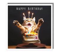 Tracks Publishing Funny Male/Female Birthday Card - Happy Birthday Card with a Humorous Cat and Candles Design - Birthday Card for Men/Women/Children