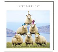 Tracks Publishing Funny Photographic Open ''Happy Birthday'' Greeting Card - from The Light Hearted Collection Range - Sheep Pyramid, White Blue Green Yellow, 160 x 157 mm