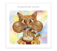 Tracks Publishing Funny Welsh Birthday Card - Amusing Cat & Cupcake Design - Eco-Friendly & Made in the UK - Penblwydd Hapus