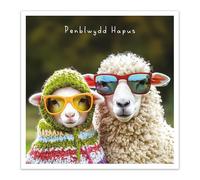 Tracks Publishing Funny Welsh Birthday Card - Penblwydd Hapus, Amusing Sheep Design, Eco-Friendly & Made in the UK