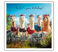 Tracks Publishing FunnyBirthday Card for Men - Humorous Scottish Alpacas in Tartans Design - Happy Birthday Card for Dad, Brother, Friend, Son, or Male Family Member
