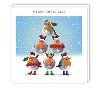 Tracks Publishing General Christmas Greeting Card - Festive Robins Tower - With A Red Foil Finish - Suitable For Him/For Her