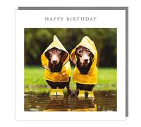 Tracks Publishing General Male/Female Birthday Card - Sausage Dogs in Raincoats - Eco-Friendly & Recyclable - Made in the UK
