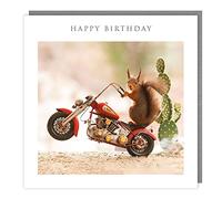 Tracks Publishing General Male/Female Funny Birthday Card - Squirrel Riding Motorbike - Eco-Friendly & Recyclable - Made in the UK