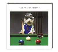 Tracks Publishing 'Happy Birthday' Card - Funny Photographic Image - Dog Relaxing Playing Snooker - For Him - From The Light Hearted Collection, Multi,158 x 159mm