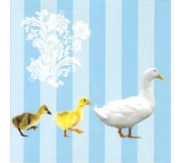 Tracks Publishing Happy Easter Greeting Card, Duck and Ducklings Spring Design with Blue Stripes