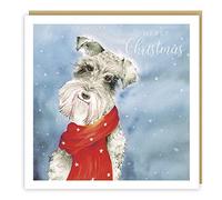 Tracks Publishing Open Artistic Christmas Greeting Card - 'Baby It's Cold Outside' - Schnauzer in Scarf Illustration - From The Love Country Range - With A Silver Foil Finish