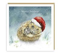 Tracks Publishing Open Artistic Christmas Greeting Card - 'Dreaming of Christmas' - Sleeping Hedgehog Illustration - From The Love Country Range - With A Gold Foil Finish