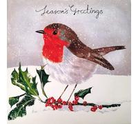 Tracks Publishing Traditional Festive Art - Large Square 160 x 160mm (6.5x6.5) - Seasons Greetings - Pack of 5 Premium Charity Christmas Cards (Robin on Branch)