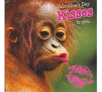 Tracks Publishing Valentine's Day Card, Funny Monkey Design with Pink Kiss, Greeting Card