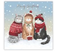 Tracks Publising Charity Christmas Cards Pack of 5 - Cute Cats in the Snow - Foil Finish - Festive Christmas Cards Multipack - In Aid of Rainbow Trust
