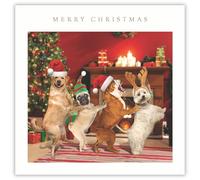 Tracks Publising Charity Christmas Cards Pack of 5 - Dancing Dogs - Foil Finish - Festive Christmas Cards Multipack - In Aid of Rainbow Trust
