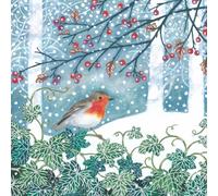 Tracks Publising Charity Christmas Cards Pack of 5 - Robin, Ivy and Winter Berries - Foil Finish - Festive Christmas Cards Multipack - In Aid of Rainbow Trust