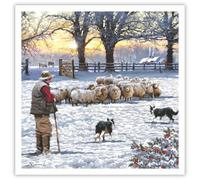 Tracks Publising Charity Christmas Cards Pack of 5 - Sheep Farmer and Dogs in the Snow - Foil Finish - Festive Christmas Cards Multipack - In Aid of Rainbow Trust