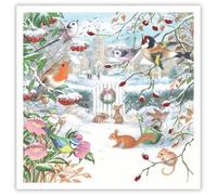 Tracks Publising Charity Christmas Cards Pack of 5 - Winter Garden and Wildlife Design - Foil Finish - Festive Christmas Cards Multipack - In Aid of Rainbow Trust