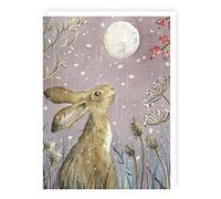 Tracks Traditional Moongazing Hare Advent Calendar - 24 Doors Christmas Countdown Grey