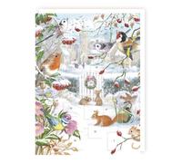 Tracks Traditional Wildlife Garden Advent Calendar - 24 Doors Christmas Countdown, White