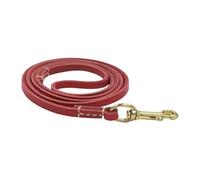 Traction Rope for Dogs - Compact Ergonomic Handle, Rope for Walking Dogs - for Small Medium and Large Breeds Walking and Training Outdoor Park and Garden