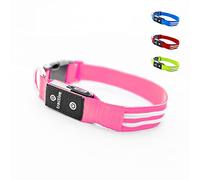 Tractive LED Light Up Dog Collar. USB Rechargeable. Waterproof (Pink, L)